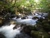 DSCF6753