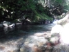 DSCF6766