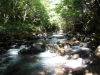 DSCF6770