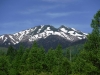 DSCF6777