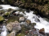 DSCF6782