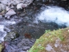 DSCF6787