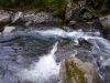 DSCF6795