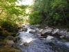 DSCF6797