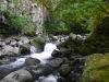 DSCF6798