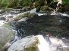 DSCF6806
