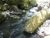 DSCF6807