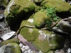 DSCF6813
