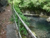 DSCF6823