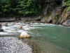DSCF6849