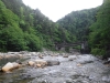DSCF6850