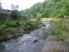 DSCF6879