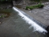 DSCF6886