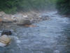 DSCF7174