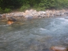 DSCF7175