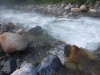 DSCF7181
