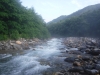 DSCF7195