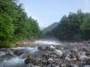 DSCF7206