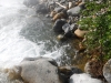 DSCF7228