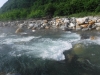DSCF7239