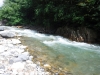 DSCF7255
