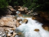 DSCF7260