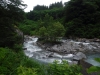 DSCF7269