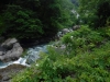 DSCF7271