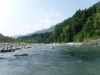 DSCF7354
