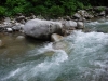 DSCF7367