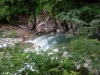 DSCF7375