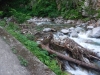 DSCF7379