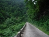 DSCF7382