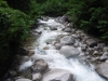 DSCF7384