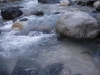 DSCF7405