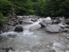 DSCF7437