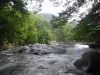 DSCF7445