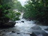 DSCF7446
