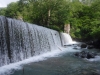 DSCF7454