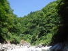 DSCF7498