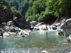 DSCF7513