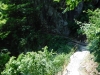 DSCF7530