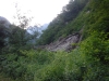 DSCF7541