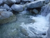 DSCF7569