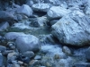 DSCF7595