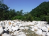 DSCF7596