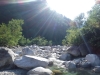 DSCF7597