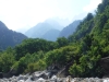 DSCF7606