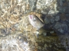 DSCF7609