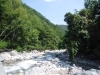 DSCF7627